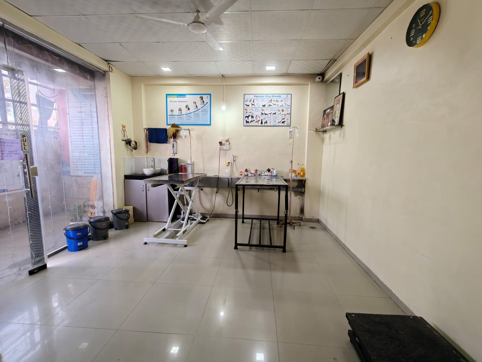 Sarvadnya Pet Care Unit veterinary clinic, Pune